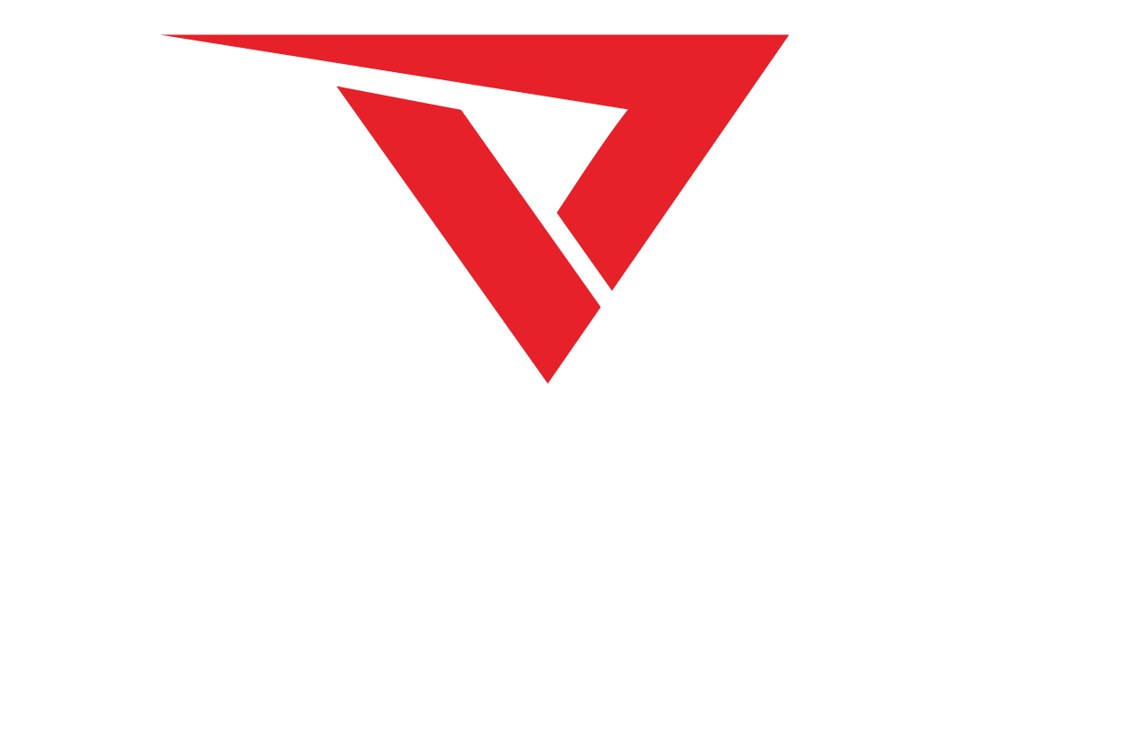 VeloTee logo